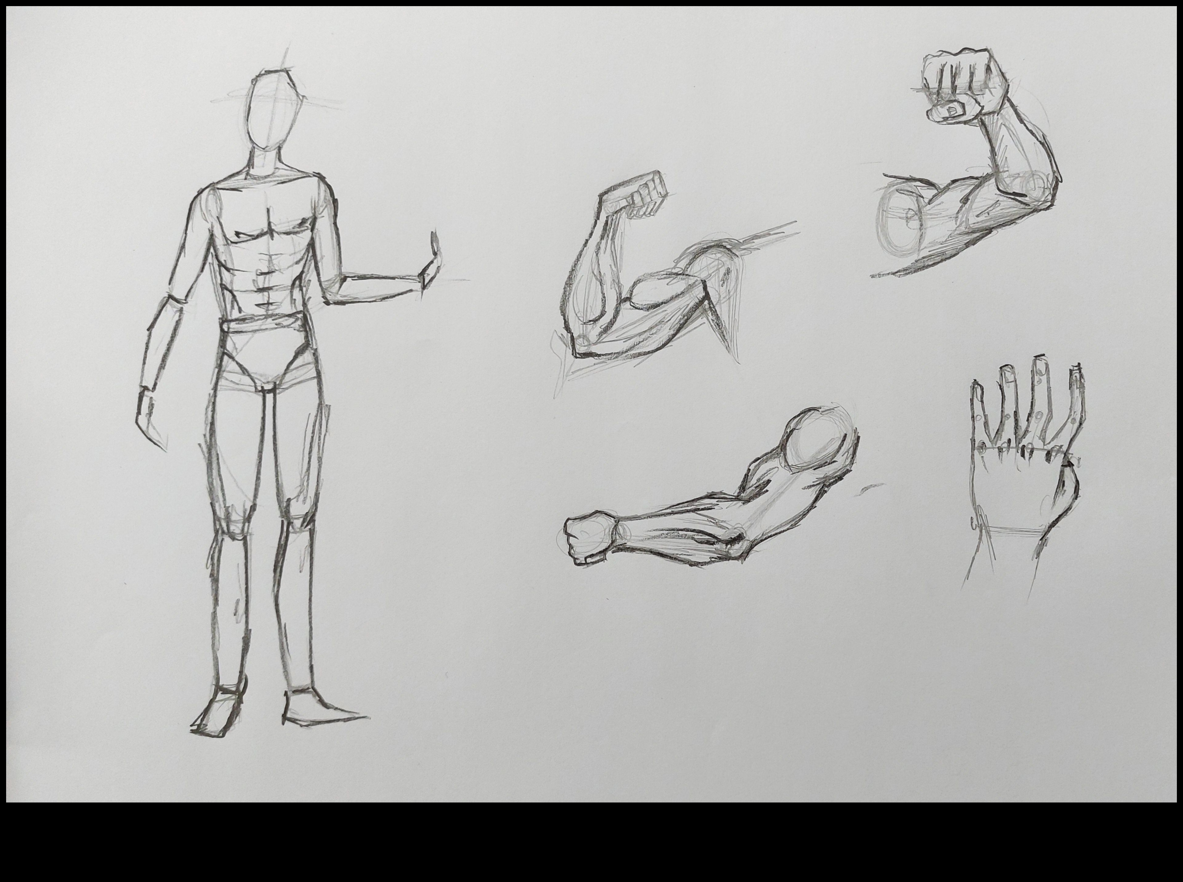 Stăpânirea desenului de viață: de la anatomie la expresia creativă