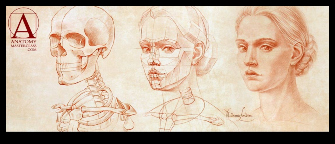 Stăpânirea desenului de viață: de la anatomie la expresia creativă