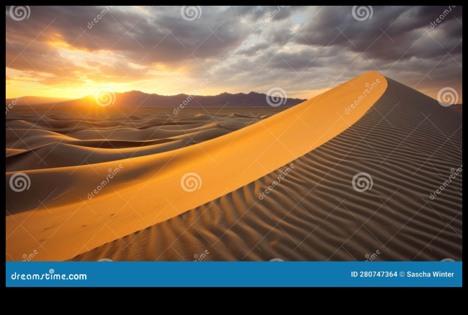 Desert Dreams: Alura peisajelor aride