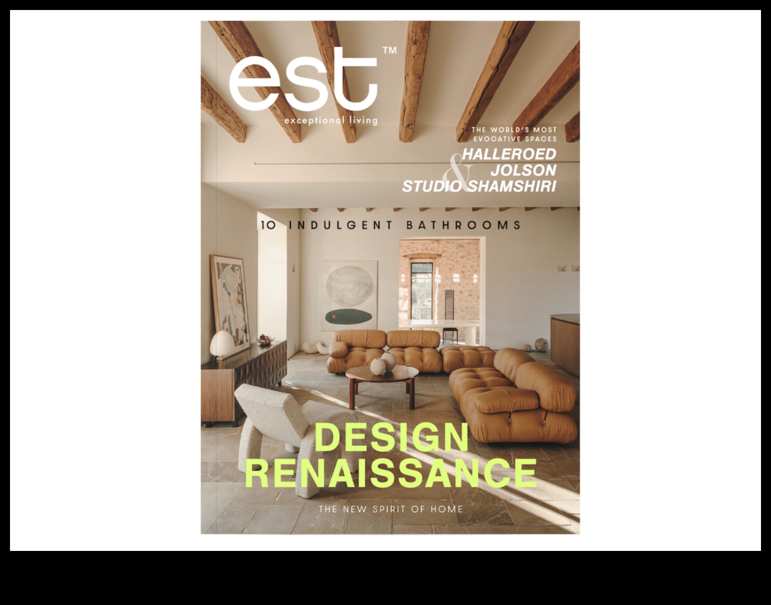 Design Renaissance Reimaginarea viitorului inovației de produs 3 Renașterea designului: redescoperirea artei inovației de produs