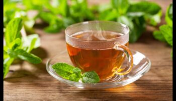 DIY Minty Magic: Creați amestecuri unice pentru iubitorii de ceai de mentă
