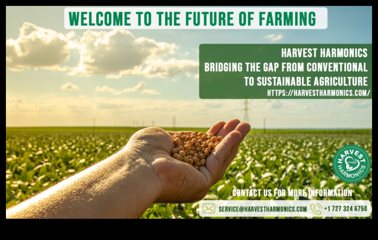 Harvest Harmony III: Continuarea celebrării frumuseții terenurilor agricole din nou