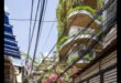 Oaze urbane: Refugiu verde în inima orașului