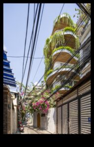 Oaze urbane: Refugiu verde în inima orașului