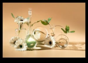 Reflecții în sticlă: natură moartă cu elemente transparente